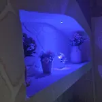 Aurora Floreale *
